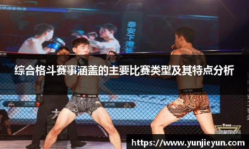 综合格斗赛事涵盖的主要比赛类型及其特点分析