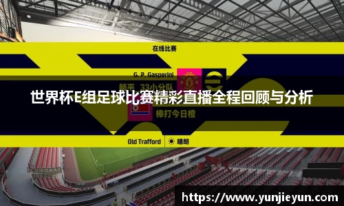 世界杯E组足球比赛精彩直播全程回顾与分析